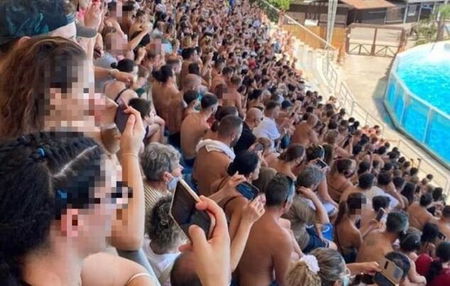 Zoomarine: «Come parco acquatico all’aperto non c’è obbligo di mascherina (prima delle 18)» article-post