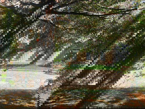 La 34enne incinta di Longobardi dimessa dal pronto soccorso che, dopo due giorni, muore con il bambino