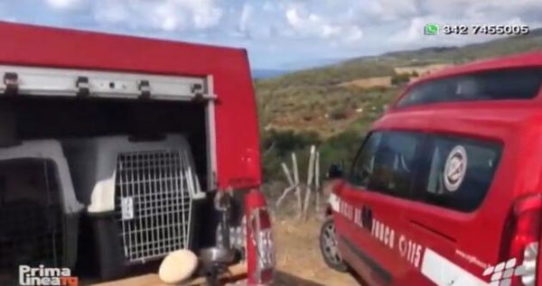 L’ultima ipotesi degli inquirenti: il piccolo Gioele era insieme alla madre