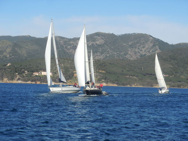 Scuola, l’Aula sul Mare COVID FREE: come ripartire con viaggi di istruzione e di sport