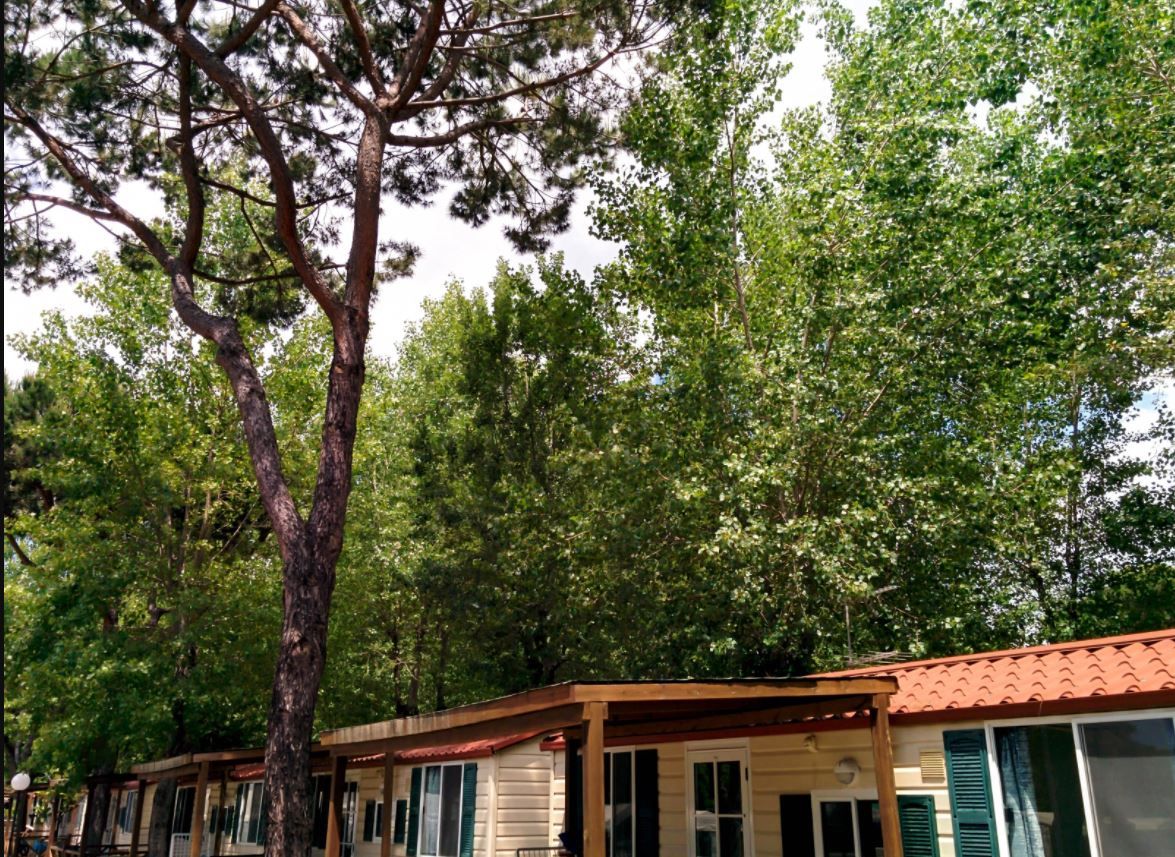 Tragedia di Marina di Massa, avvisi di garanzia per i proprietari del campeggio article-post