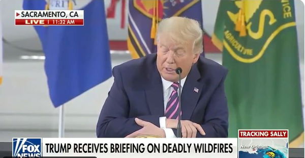 California in ginocchio per gli incendi, Trump: “La scienza non capisce niente”