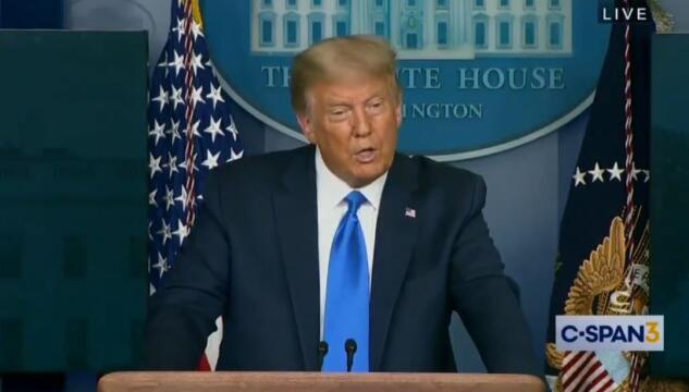 Trump e il voto