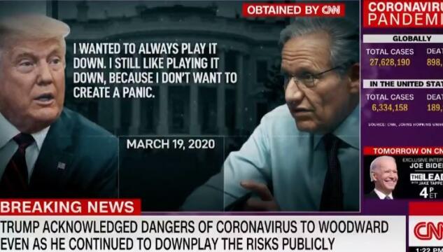 Libro di Woodward