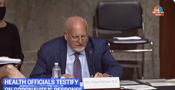 Vaccino anti covid, i medici Usa frenano ma Trump rilancia: “Disponibile a novembre”