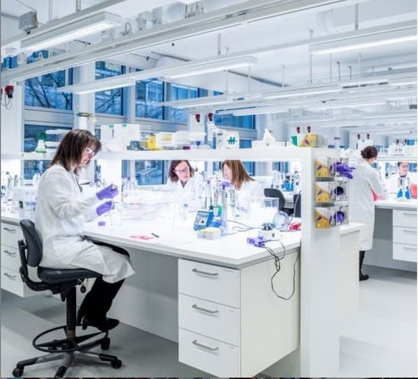 Problemi con un volontario, sospesi i test del vaccino di Oxford