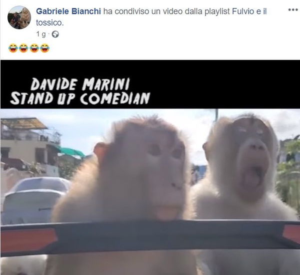 Willy, il video con le scimmie pubblicato su Facebook da uno degli assassini dopo averlo pestato a morte