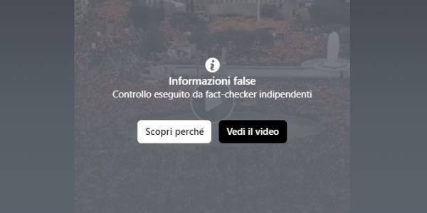 “Se hanno censurato il video, a maggior ragione è vero” – La logica complottista article-post