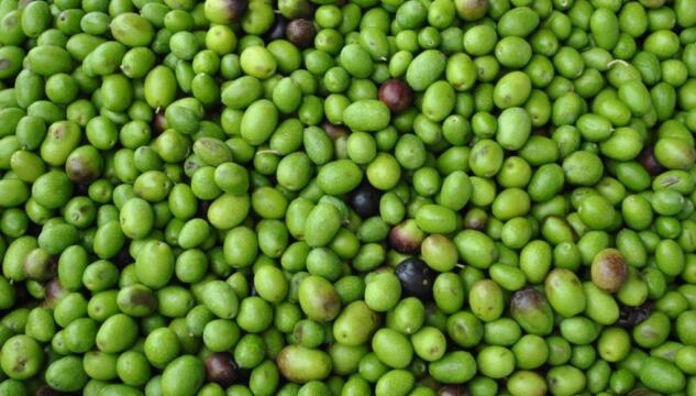 olio d'oliva