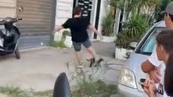Gatto preso a calci nel napoletano, denunciati due minorenni article-post