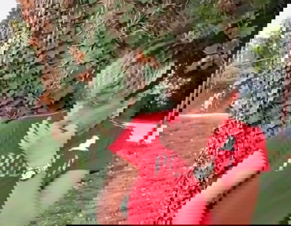 «Io, bocciato a scuola, ora ho 240mila followers su TikTok»