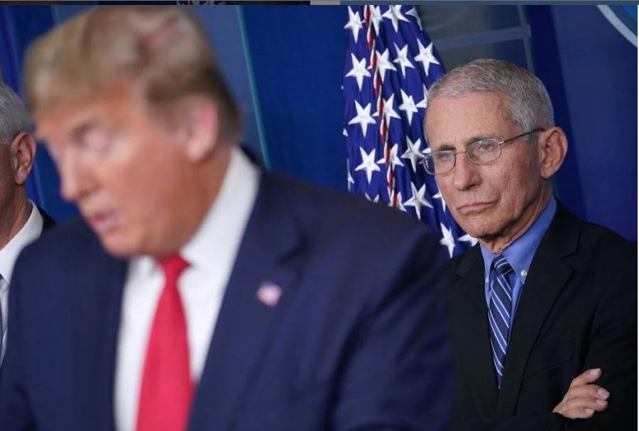 Fauci risponde a Trump: “Assente da mesi ai meeting sul Covid” article-post