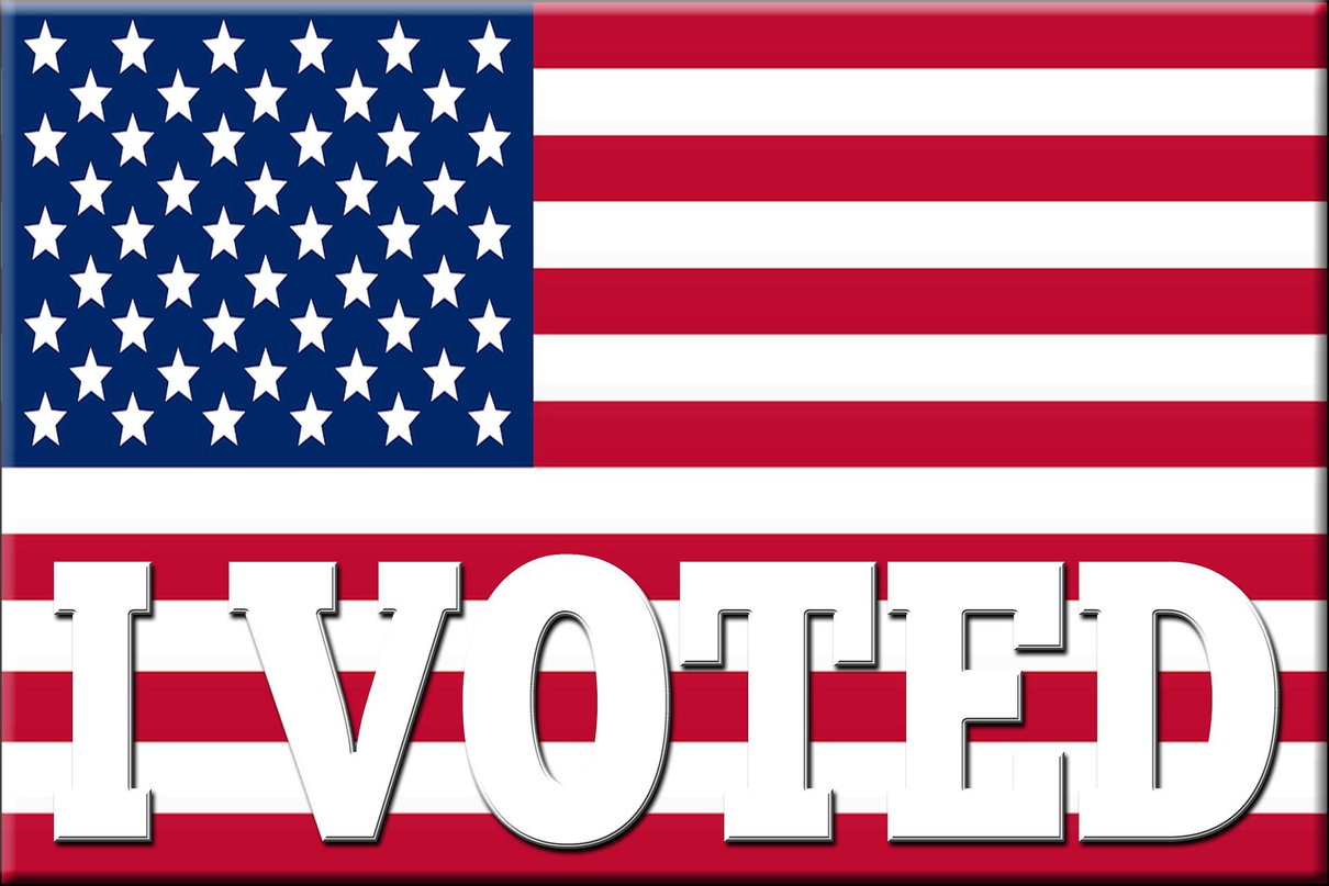 Elezioni Usa 2020, come funziona il sistema elettorale article-post