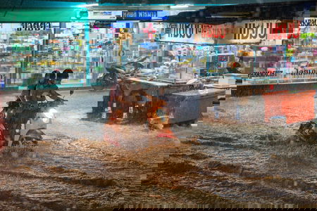 Le catastrofi naturali sono raddoppiate negli ultimi 20 anni e non è un caso article-post