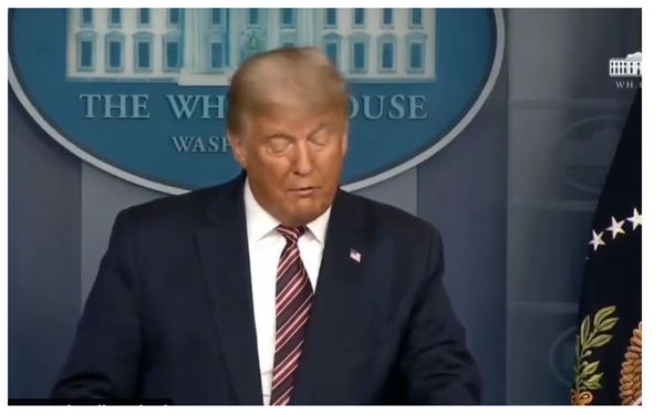 La rabbia di Trump: “Stanno tentando di rubarci le elezioni”