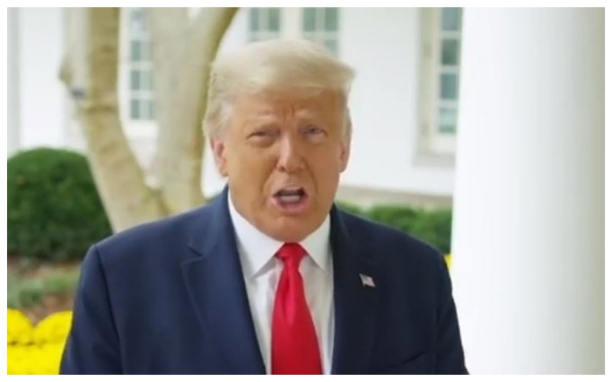 Donald Trump ammette la sconfitta, comincia ufficialmente la transizione article-post