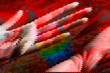 La legge contro l’omobitransfobia approvata alla Camera, ora passa al Senato article-post