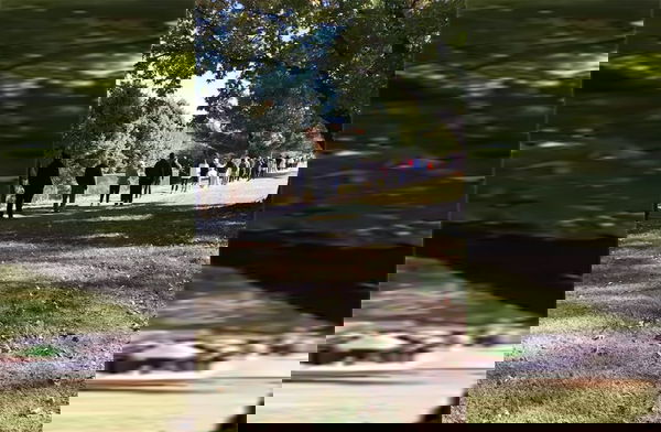 Le insolite file ai seggi nel giorno del voto per le elezioni Usa 2020 | VIDEO