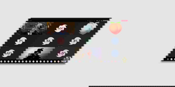 Che dice Giorgia Meloni del sedere di Priamo Bocchi su Zoom?