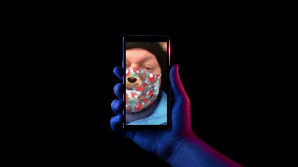 Il consigliere leghista, col filtro Instagram del cucciolo, dice che Saviano è il promoter della camorra