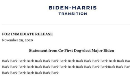 Il finto comunicato stampa del cane di Biden che fa ridere il web article-post