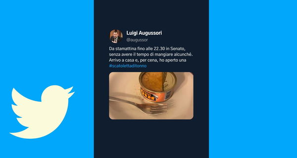 Il M5S sintetizzato in un tweet (di un leghista)