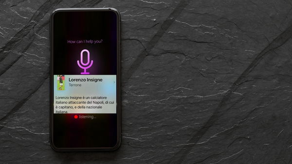 Ieri Siri etichettava Lorenzo Insigne con l’insulto «terrone»