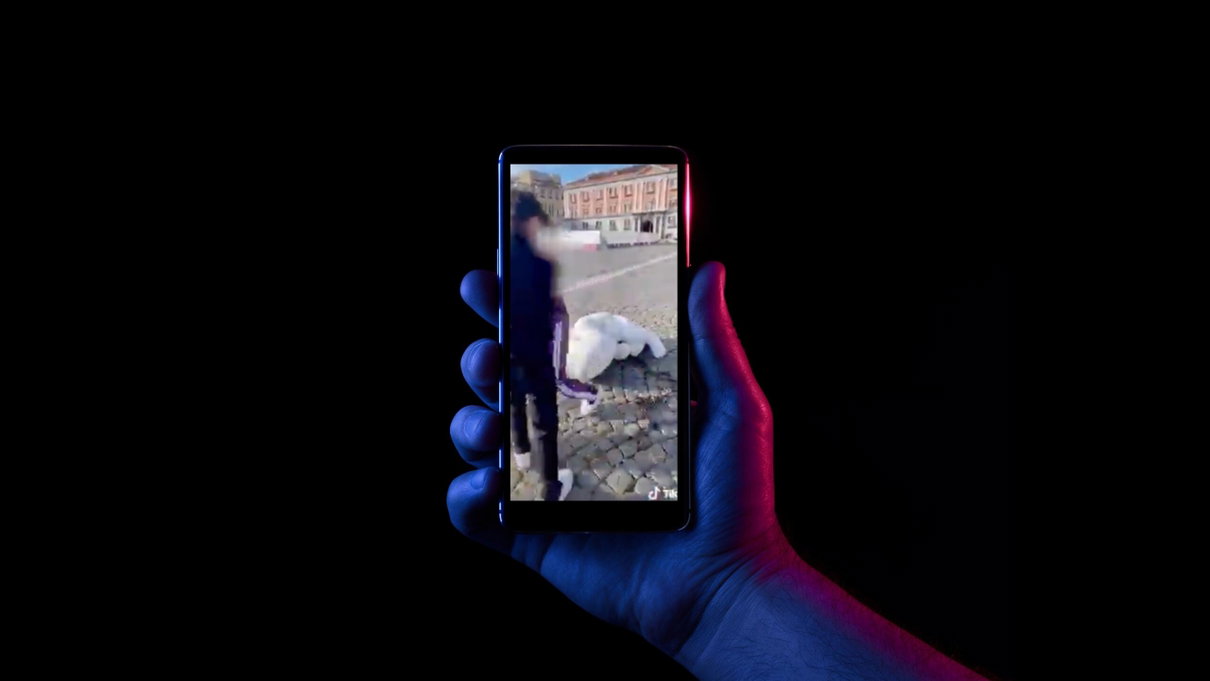 TikTok, i calci alla statua del bambino e l’ultima frontiera del vandalismo online article-post