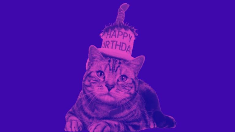 La storia dei contagiati per festeggiare il compleanno del gatto è vecchia (e non italiana) La storia dei contagiati per festeggiare il compleanno del gatto è vecchia (e non italiana)