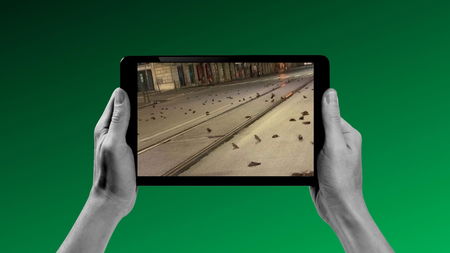 Quelli che hanno pensato al 5G come causa della morìa di uccelli a Roma article-post