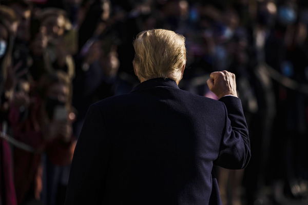 Donald Trump non tornerà mai più su Twitter, almeno con il suo nome