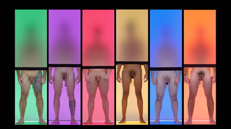 Avevamo bisogno di un programma in cui ci si sceglie in base ai genitali? article-post