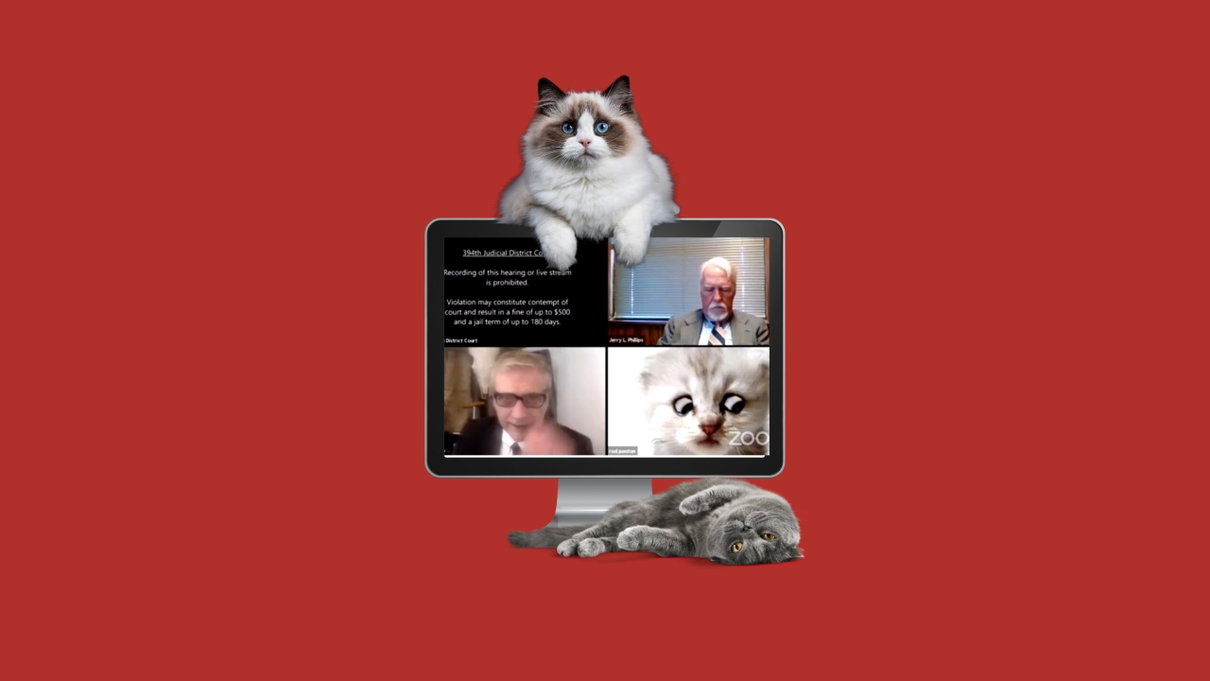 Visti gli ultimi incidenti, Zoom spiega facile facile come si rimuove il filtro del gattino article-post