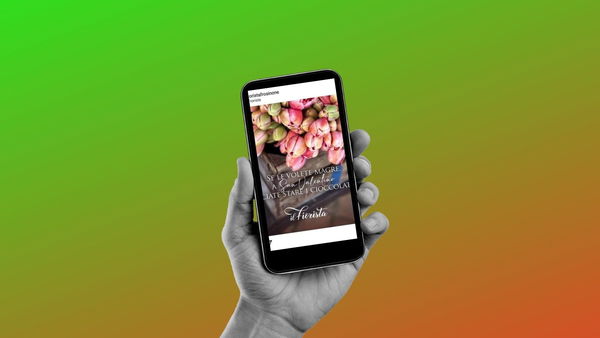 La toppa peggio del buco delle scuse social del fioraio di Frosinone