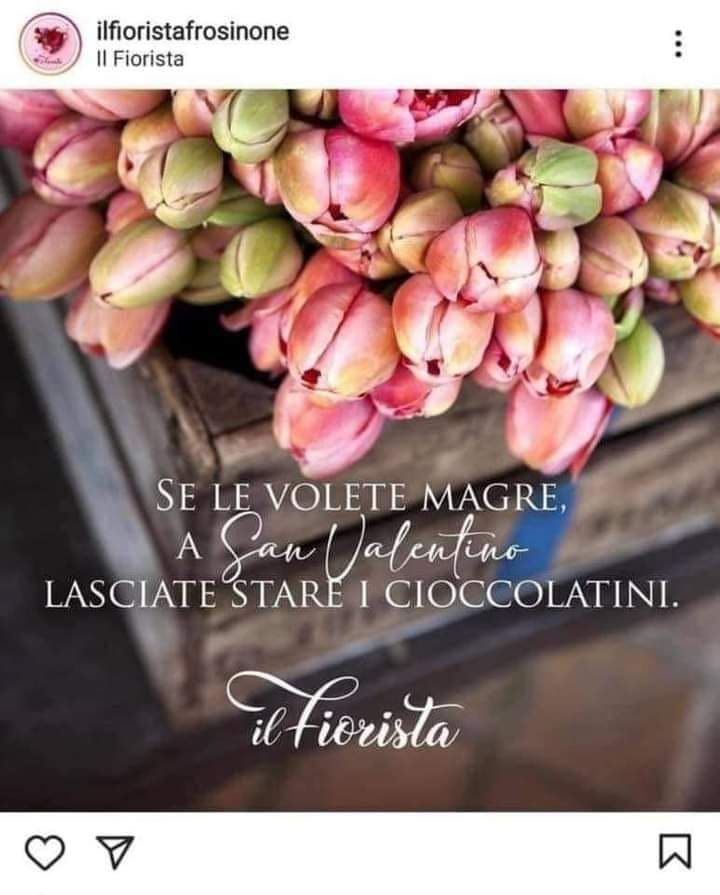 fiorista frosinone