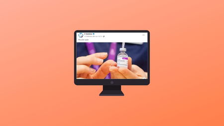 Perché la definizione «piccole cavie» data da Il Mattino non ha alcun senso article-post