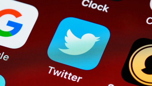 Twitter lancia il nuovo servizio di newsletter per 12 ore e poi torna indietro