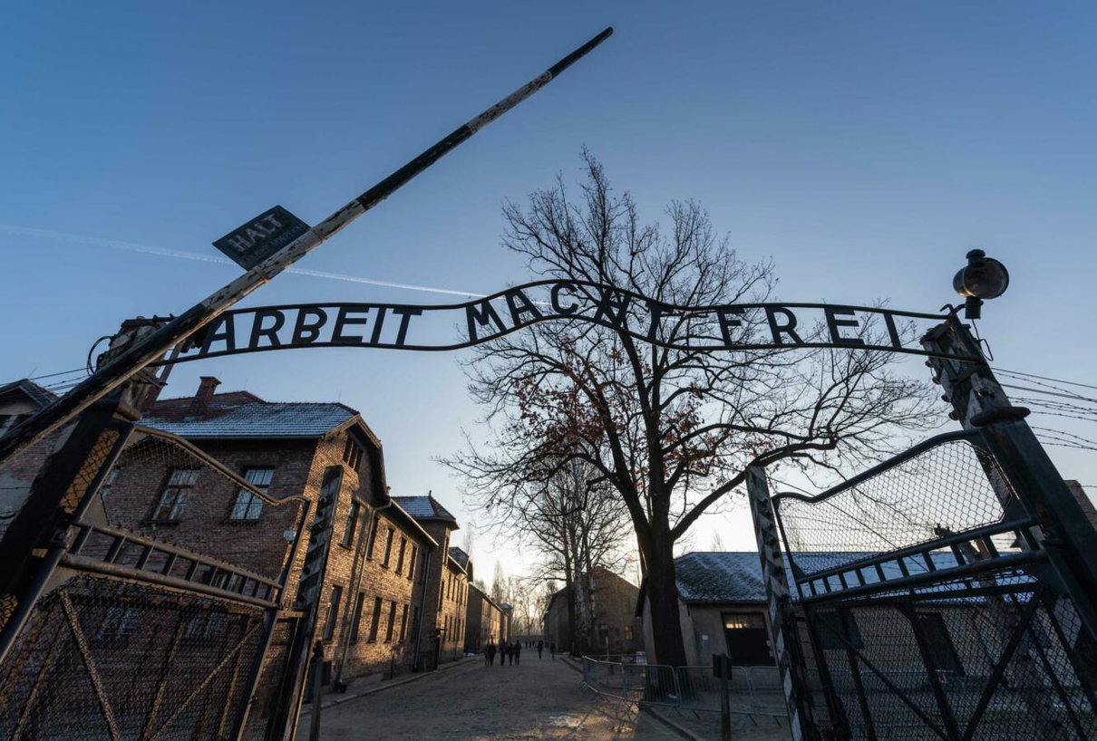 Google si scusa per non aver cancellato in tempo gli stupidi commenti su Auschwitz article-post