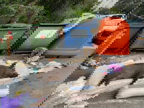 Avete presente il «cinghiale sul materasso a Roma»? Non era a Roma