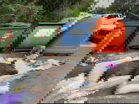 Avete presente il «cinghiale sul materasso a Roma»? Non era a Roma article-post