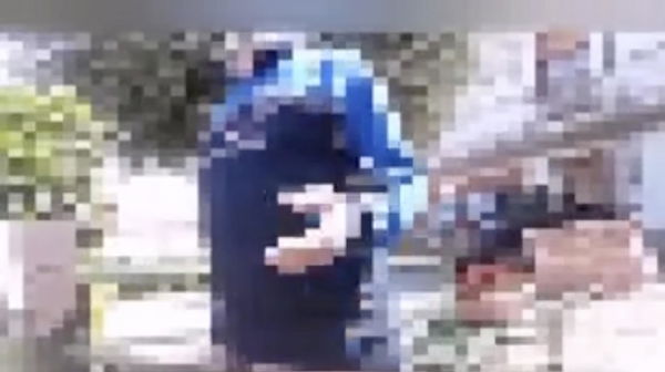 Viaggio nel gruppo Telegram dei negazionisti che hanno consegnato il pacco a Bonaccini | VIDEO