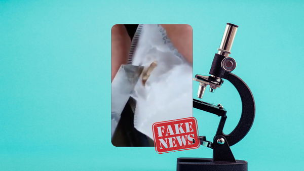 Ma davvero avete creduto al video dei vermi nelle mascherine Ffp2?