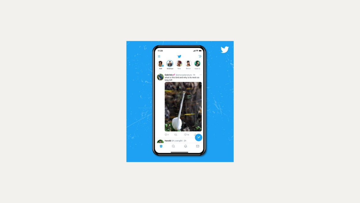 Twitter non ritaglierà più le tue fotografie article-post