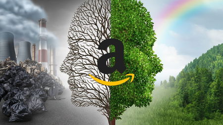 L’iniziativa Summer Colors di Amazon è una bella idea ma il greenwashing è dietro l’angolo article-post