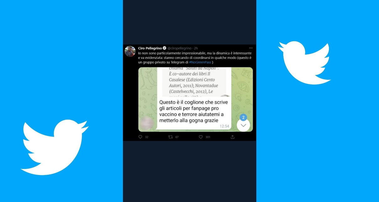 Un altro giornalista nel mirino dei No Green Pass, stavolta su Telegram article-post