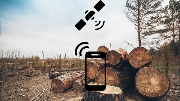 In che modo la tecnologia in mano agli indigeni può contrastare la deforestazione dell’Amazzonia