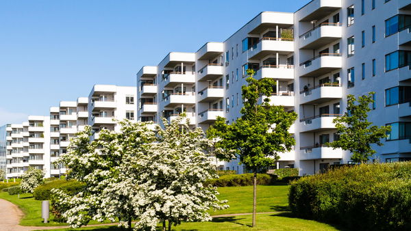 Quando il contratto di assicurazione casa ti libera dai problemi con i vicini