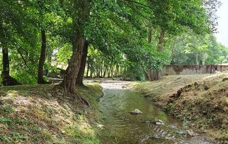 Turismo fluviale e arte 2.0 nella tre giorni di «Pater lignum Mater aquae»