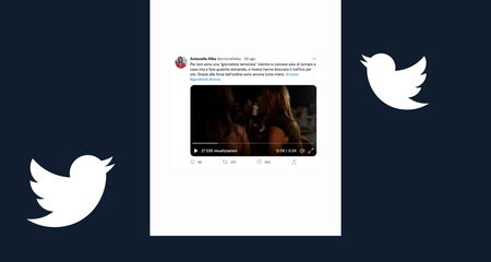 I no green pass che chiamano «giornalista terrorista» Antonella Alba di Rainews e la aggrediscono article-post