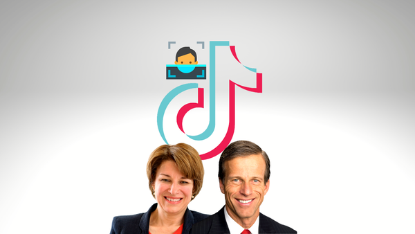 TikTok e le impronte facciali e vocali: l’attacco da due Senatori statunitensi